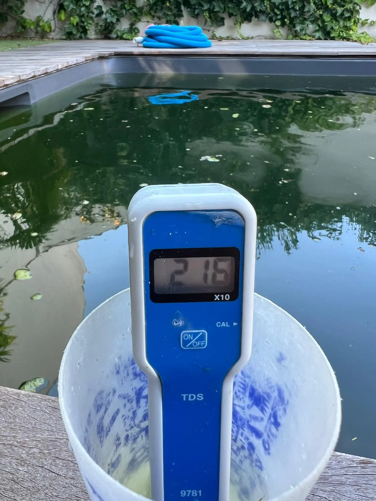 Mesure TDS devant une piscine à eau verte — diagnostic PixiPool en action