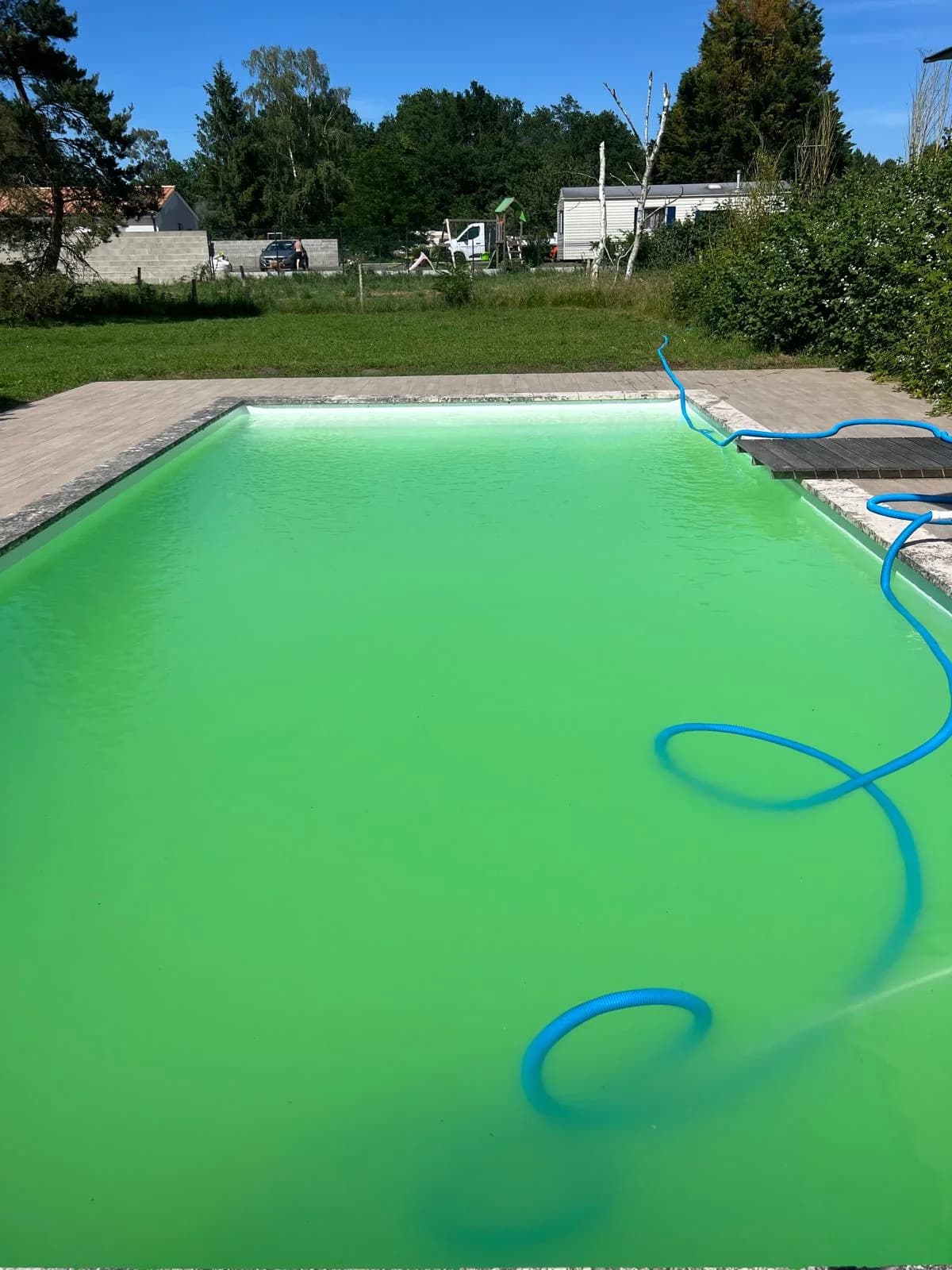 Piscine à l'eau verte vive — prolifération d'algues en plein été