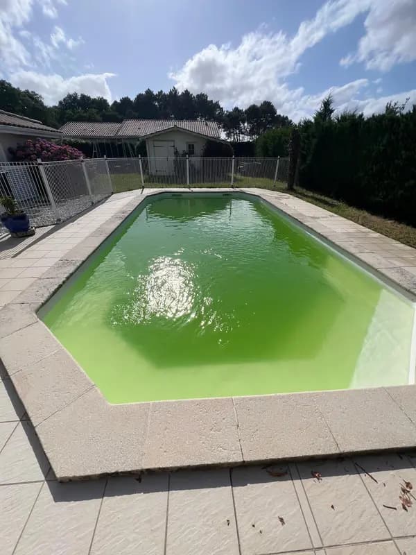 Piscine hexagonale à eau vert vif — photo envoyée pour diagnostic