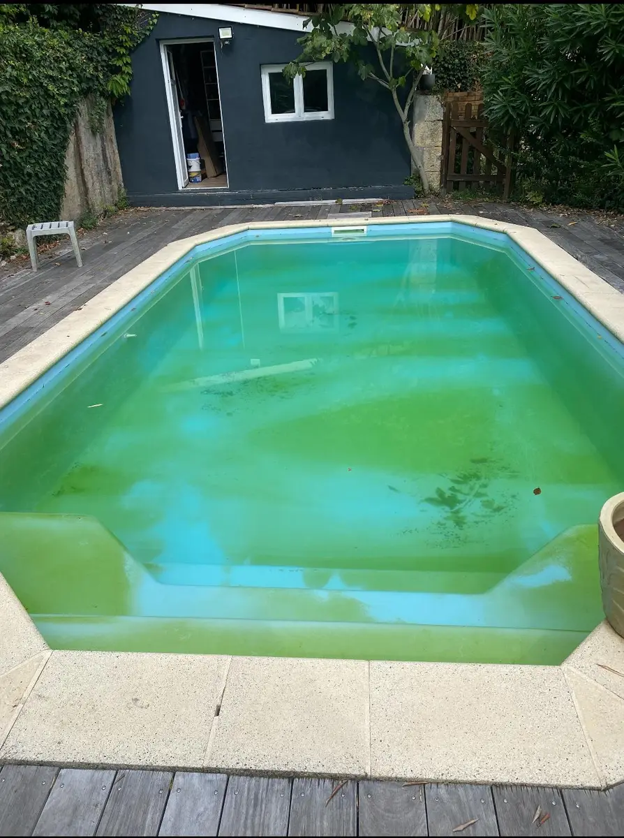 Piscine avec eau verte opaque et algues au fond avant traitement